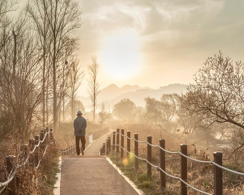Man walking dog in a quiet neighborhood park